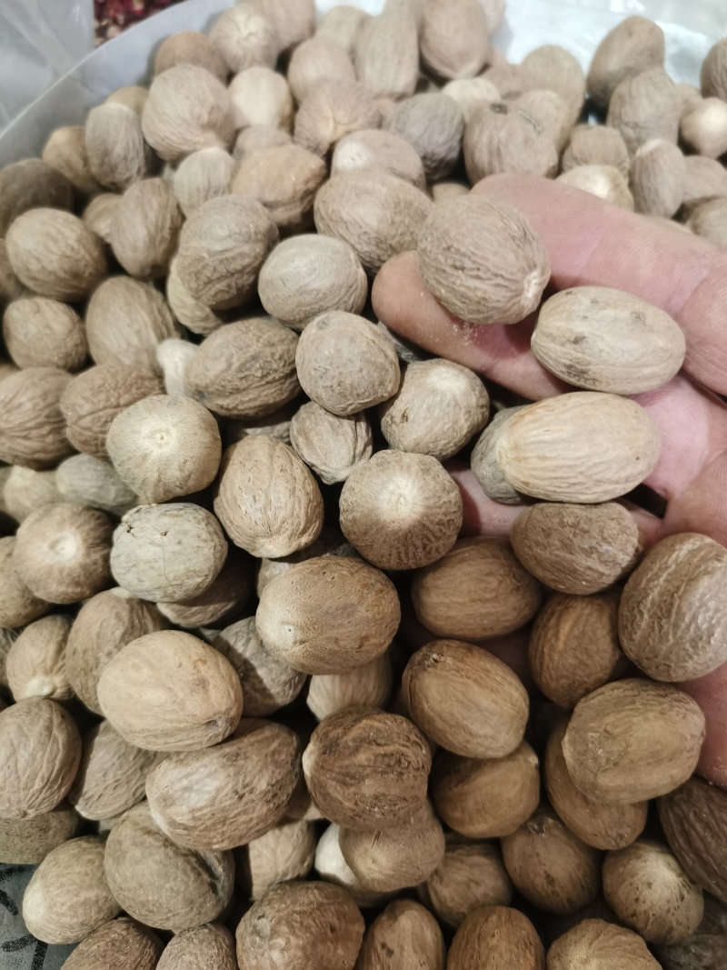 肉豆蔻选货肉豆蔻各种香料中药材批发零售