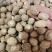 肉豆蔻选货肉豆蔻各种香料中药材批发零售