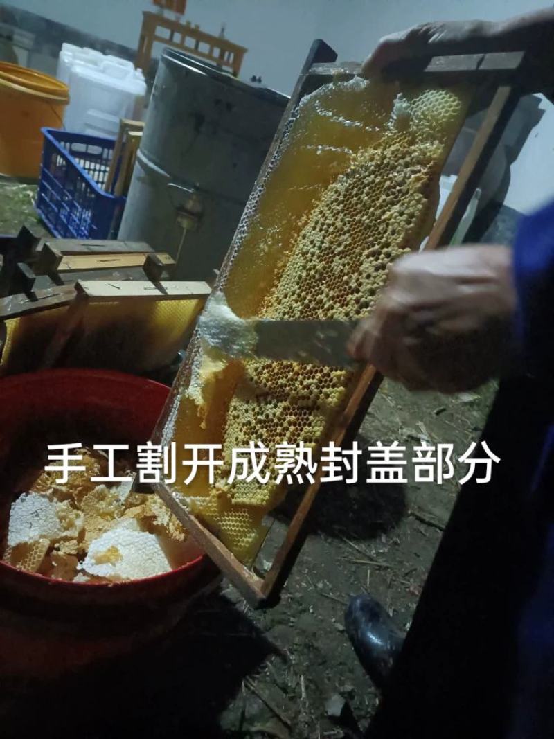 深山土蜂冬蜜（鸭脚木蜜）