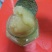 深山土蜂冬蜜（鸭脚木蜜）