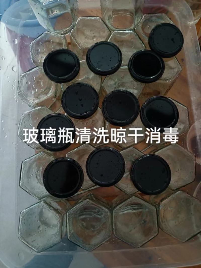 深山土蜂冬蜜（鸭脚木蜜）