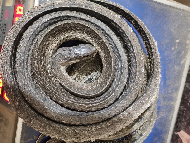 乌梢蛇水利蛇没有气味量大从优批发零售各种