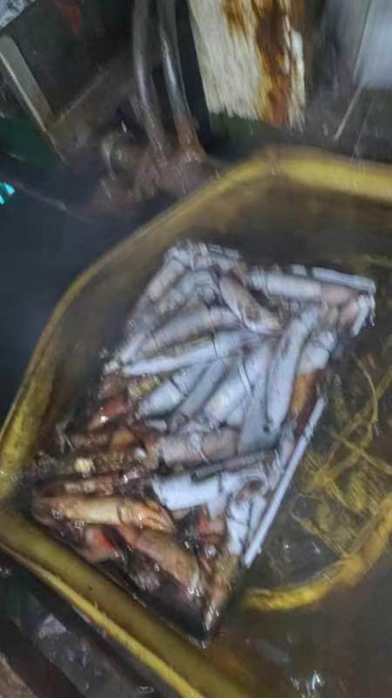 海南黑鱿鱼80-250100/300