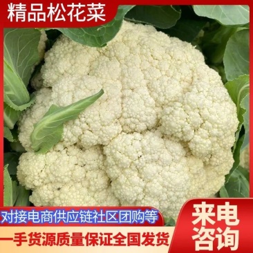 【松花菜】有机花菜新鲜发货对接市场商超电商电商供应链等