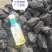 新疆煤4800卡到4900卡低硫低灰好燃烧欢迎前来咨询