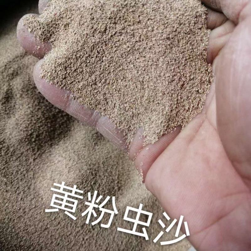 黄粉虫虫沙