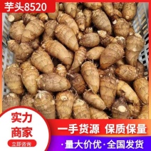 【推荐】山东芋头8520一手货源对接市场商超电商