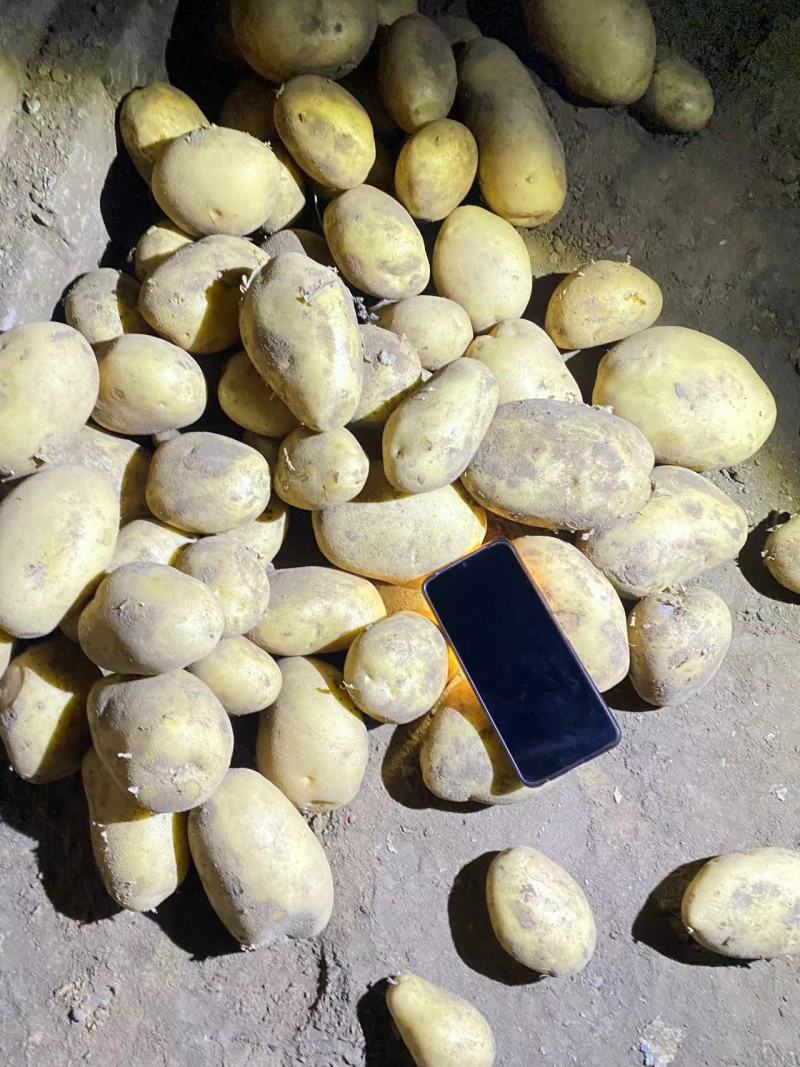 黄心黄皮V7希森荷兰沃土土豆全国发货质量保证