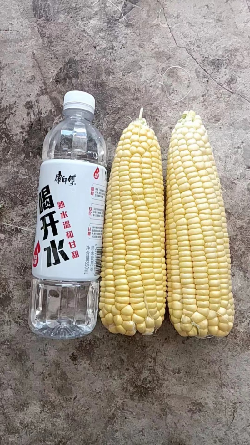 云南省楚雄州元谋县水果玉米，甜玉米，大量上市