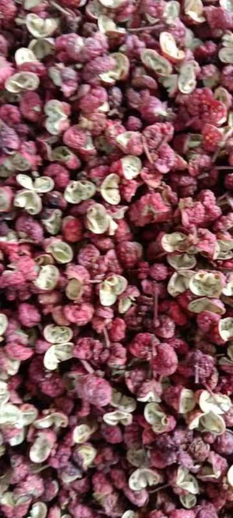 精品大红袍花椒红花椒大量上市品质保证一手货源
