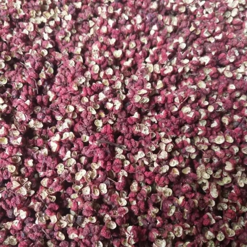 精品大红袍花椒红花椒大量上市品质保证一手货源