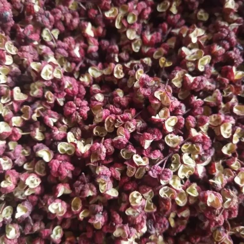 精品大红袍花椒红花椒大量上市品质保证一手货源