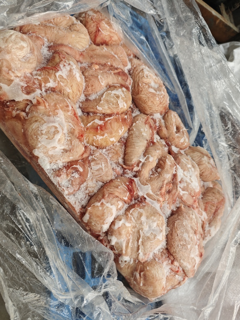 母猪小肚，尿肚，新货，长期生产，质量保证，供应稳定