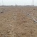 200亩水浇耕地出租，地势平坦，水利设备供应齐全，土力肥