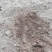 200亩水浇耕地出租，地势平坦，水利设备供应齐全，土力肥