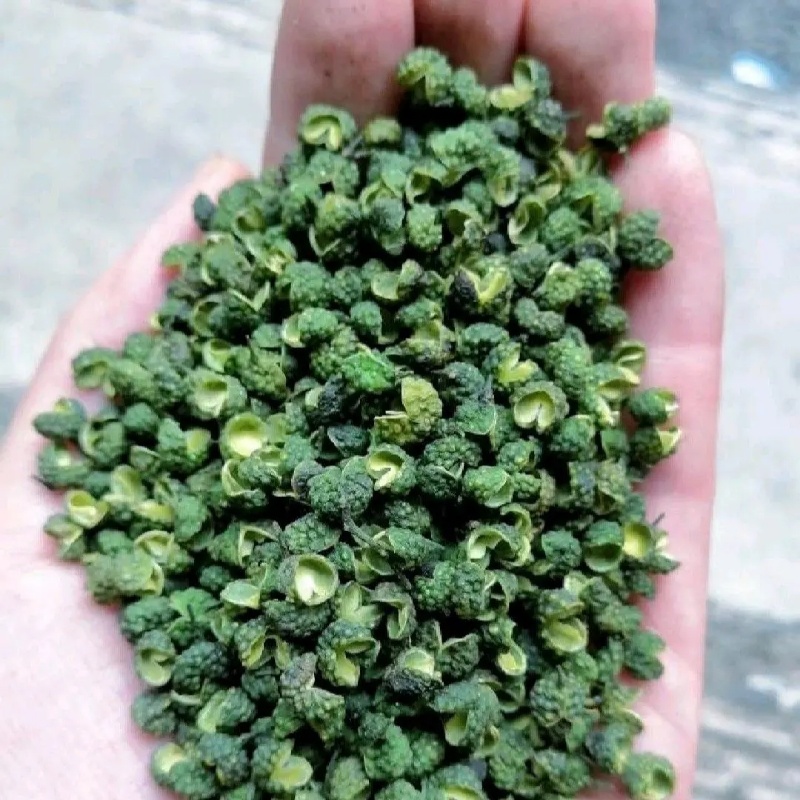 云南精品青花椒产地直发品质保证量大从优欢迎联系