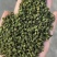 云南精品青花椒产地直发品质保证量大从优欢迎联系