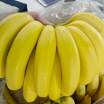 香蕉，芭蕉等各种果蔬
