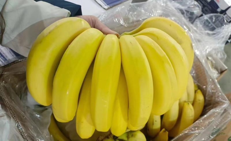 各种香蕉果蔬