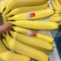 各种香蕉果蔬，欢迎各位老板光临！