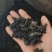 东北黑木耳干货电商跑摊零卖团购小碗耳秋木耳干木耳