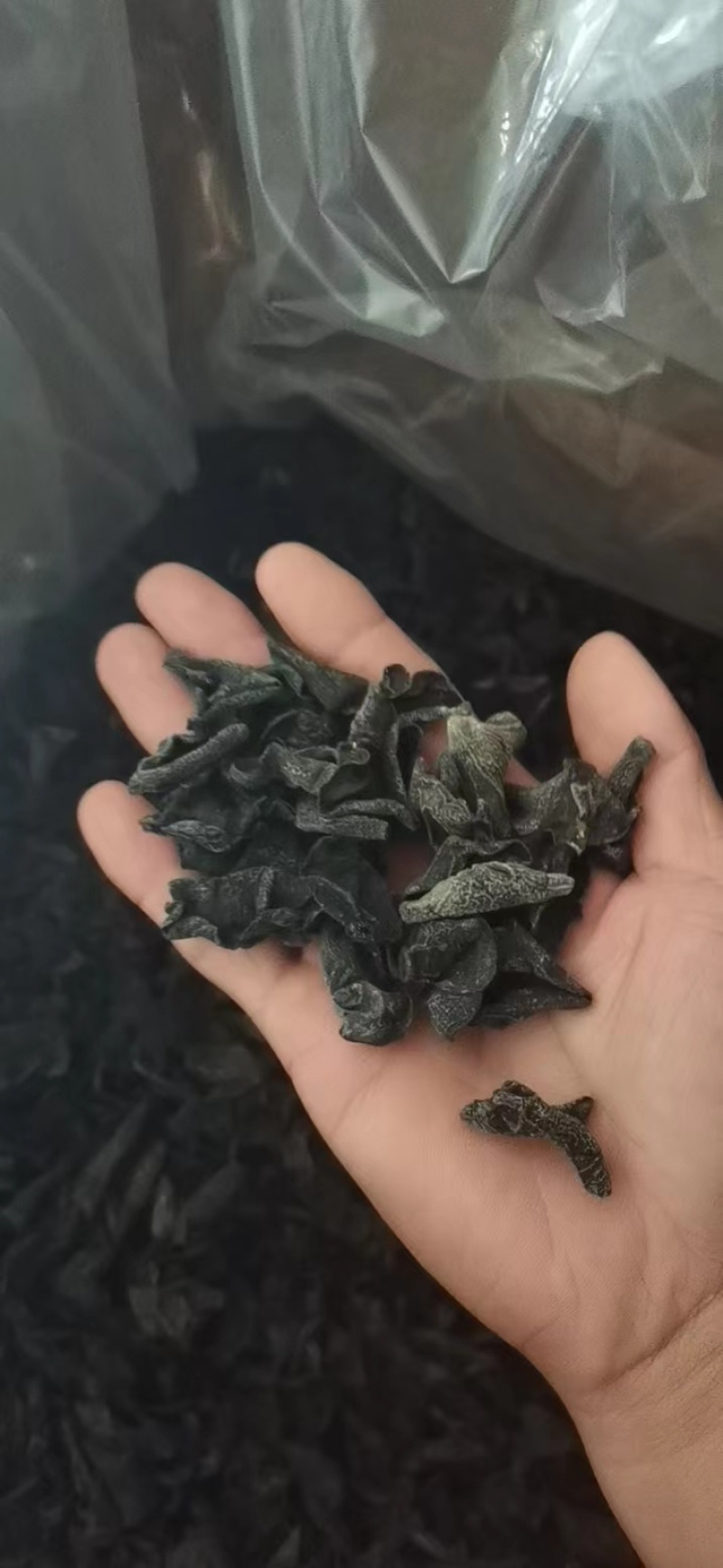 东北黑木耳干货电商跑摊零卖团购小碗耳秋木耳干木耳