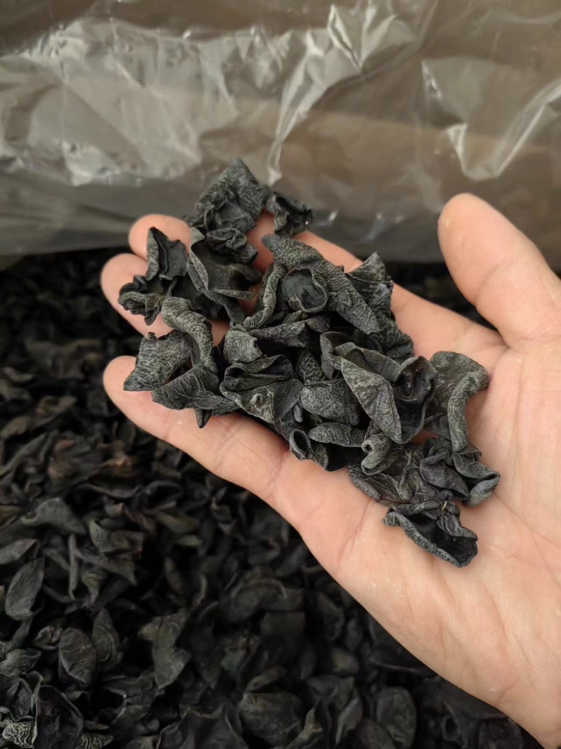东北黑木耳干货电商跑摊零卖团购小碗耳秋木耳干木耳