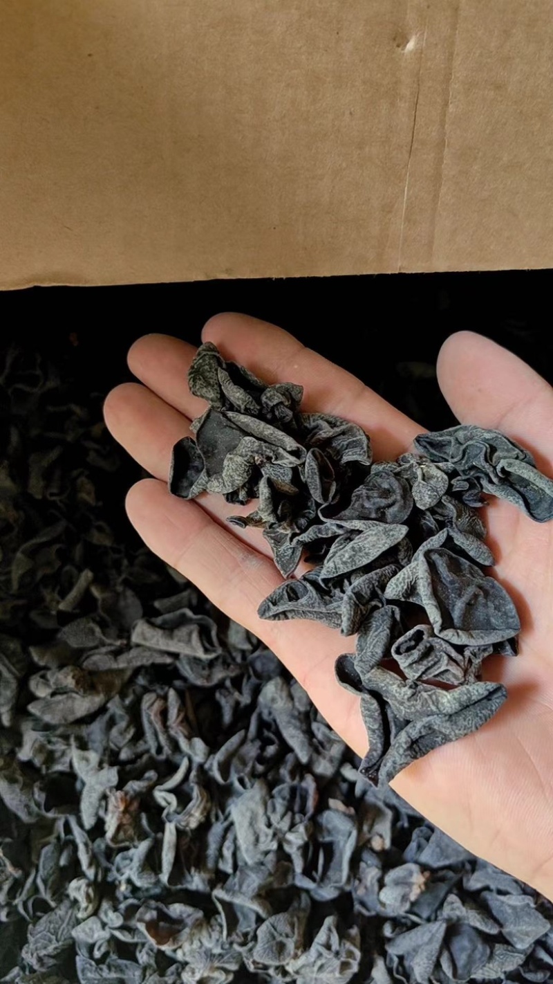 东北黑木耳干货电商跑摊零卖团购小碗耳秋木耳干木耳
