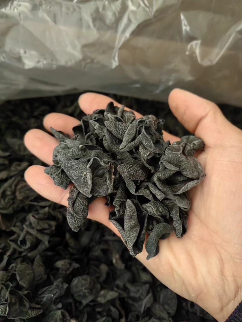 东北黑木耳干货电商跑摊零卖团购小碗耳秋木耳干木耳