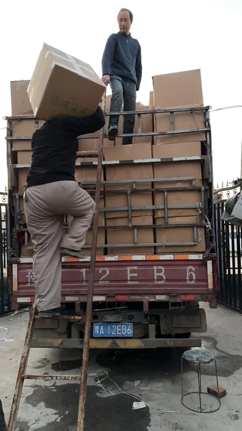 东北黑木耳干货电商跑摊零卖团购小碗耳秋木耳干木耳