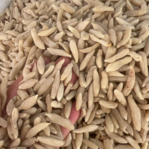 麦冬川麦冬2公斤起发多重规格