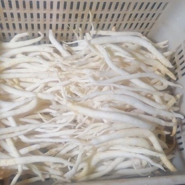 川明参干货