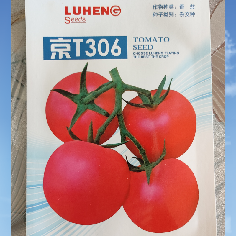 免费试种306耐热粉果大番茄种子适合春秋拱棚栽培抗TY