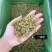 新疆吐鲁番葡萄干提子干厂家批发量大从优