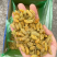 新疆吐鲁番葡萄干提子干厂家批发量大从优