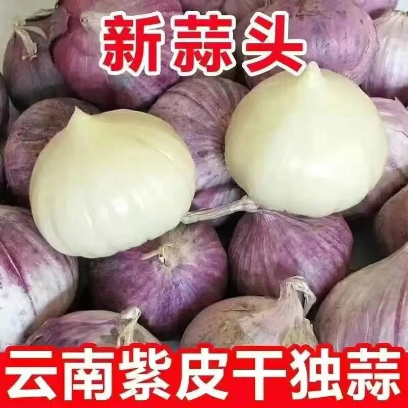 云南紫皮大蒜