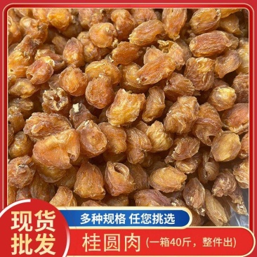 高州桂圆肉越南桂圆肉泰国桂圆肉饱满无核