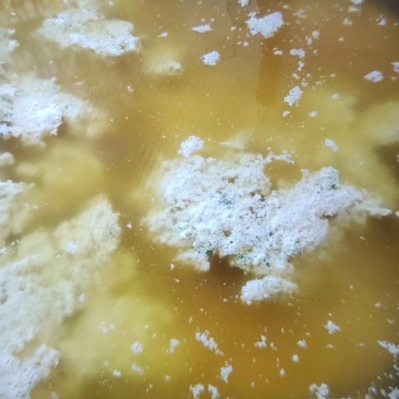 酸汤豆腐