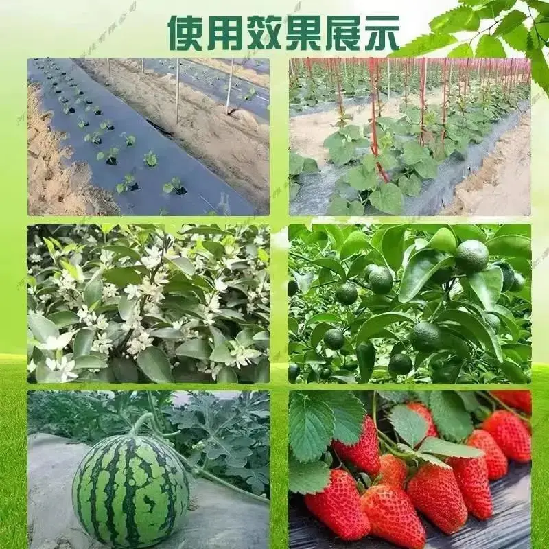 矿源聚能菌微生物菌剂有效活菌5亿菌邯郸肥料厂家直销