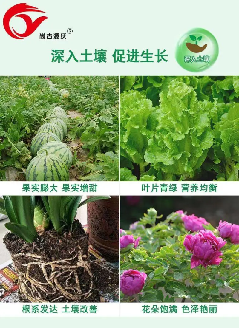 矿源聚能菌微生物菌剂有效活菌5亿菌邯郸肥料厂家直销