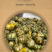 杭州胎菊胎菊花茶果茶胎菊米厂家批发量大从优