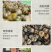 杭州胎菊胎菊花茶果茶胎菊米厂家批发量大从优