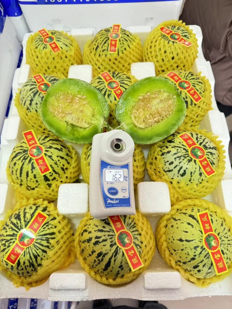 山东花蕾花美人甜瓜，莘县产地，包装全无费用