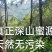 深山土蜂冬蜜（鸭脚木蜜）