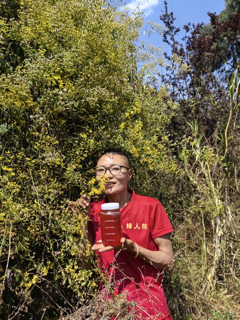 蜂蜜百花蜜一件2斤装，包邮一件代发量大从优