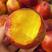 湖北油桃（黄心，白心）各类精品油桃产地供应按需包装发货