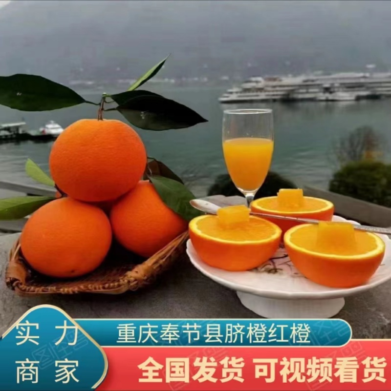 奉节脐橙伦晚，万亩基地，全国可发，一条龙服务