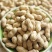【带壳花生】原味铁锅炒花生带壳熟花生生花生下酒菜品