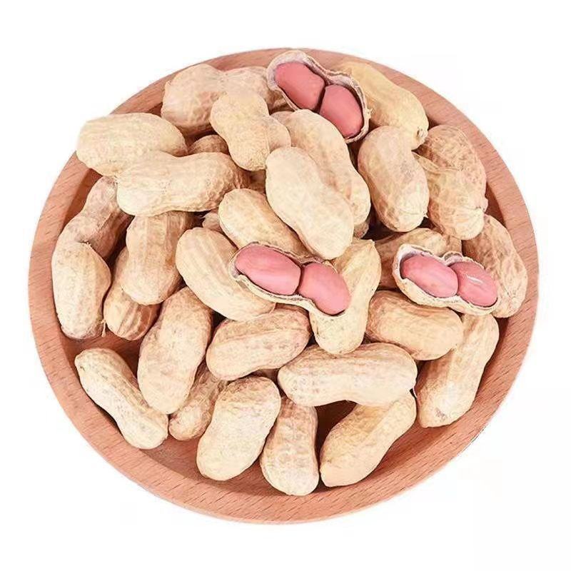 【带壳花生】原味铁锅炒花生带壳熟花生生花生下酒菜品