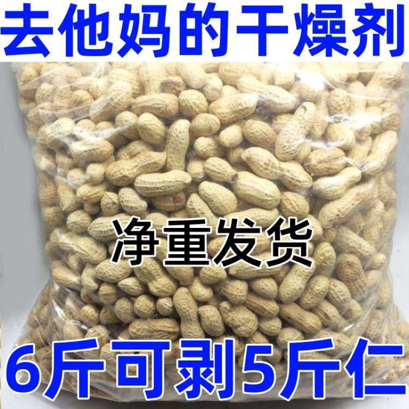【带壳花生】原味铁锅炒花生带壳熟花生生花生下酒菜品